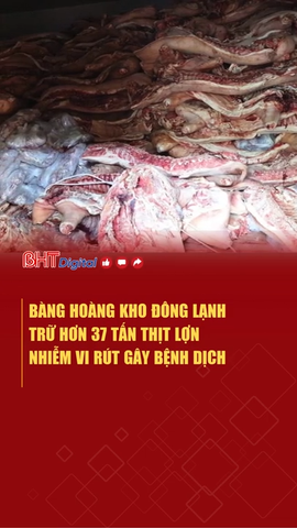 Bàng hoàng kho đông lạnh trữ hơn 37 tấn thịt lợn nhiễm vi rút gây bệnh dịch
