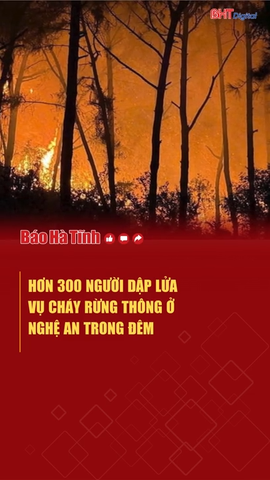 Hơn 300 người dập lửa vụ cháy rừng thông ở Nghệ An trong đêm