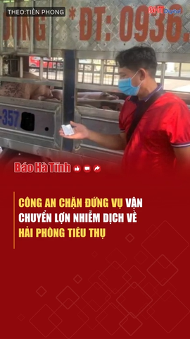Chặn đứng vụ vận chuyển 1,6 tấn lợn nhiễm bệnh về Hải Phòng tiêu thụ