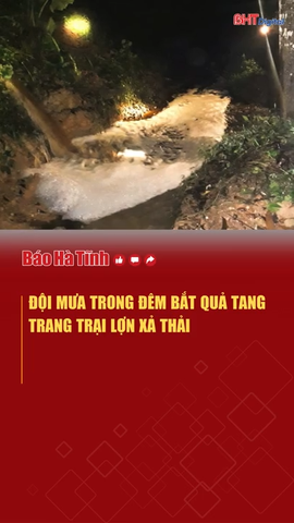 Đội mưa trong đêm bắt quả tang trang trại lợn xả thải