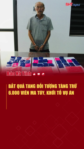 Bắt đối tượng tàng trữ 6.000 viên ma túy