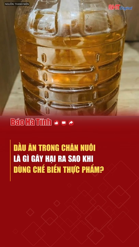 Dầu ăn trong chăn nuôi là gì, gây hại ra sao khi dùng chế biến thực phẩm?