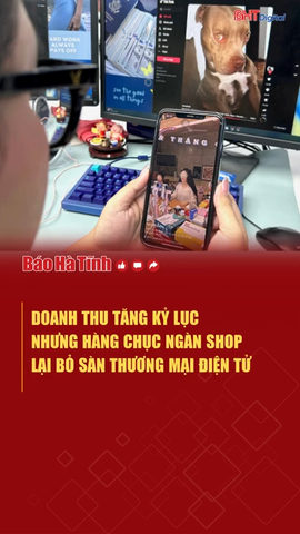Vì sao doanh thu tăng kỷ lục, hàng chục ngàn shop lại bỏ sàn thương mại điện tử?