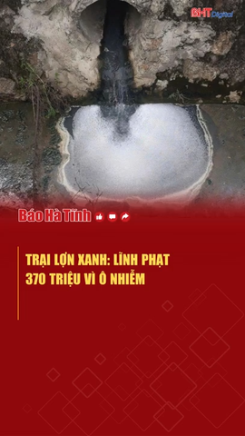 Trại lợn Xanh lĩnh phạt 370 triệu vì ô nhiễm 