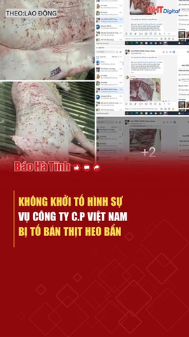 Không khởi tố hình sự vụ Công ty C.P Việt Nam bị tố bán thịt heo bẩn