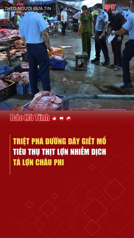 Triệt phá đường dây giết mổ, tiêu thụ thịt lợn nhiễm dịch tả lợn châu Phi