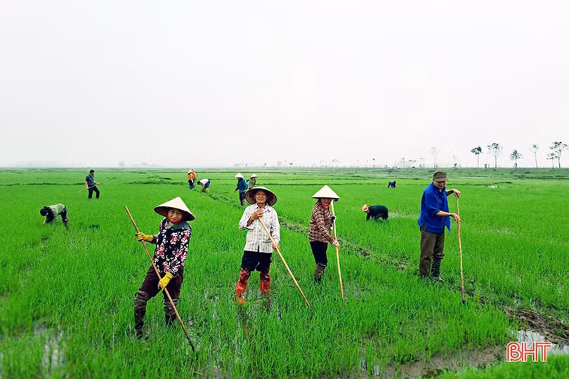 Sáng tạo trong gây quỹ hoạt động của chi hội nông dân ở Hà Tĩnh