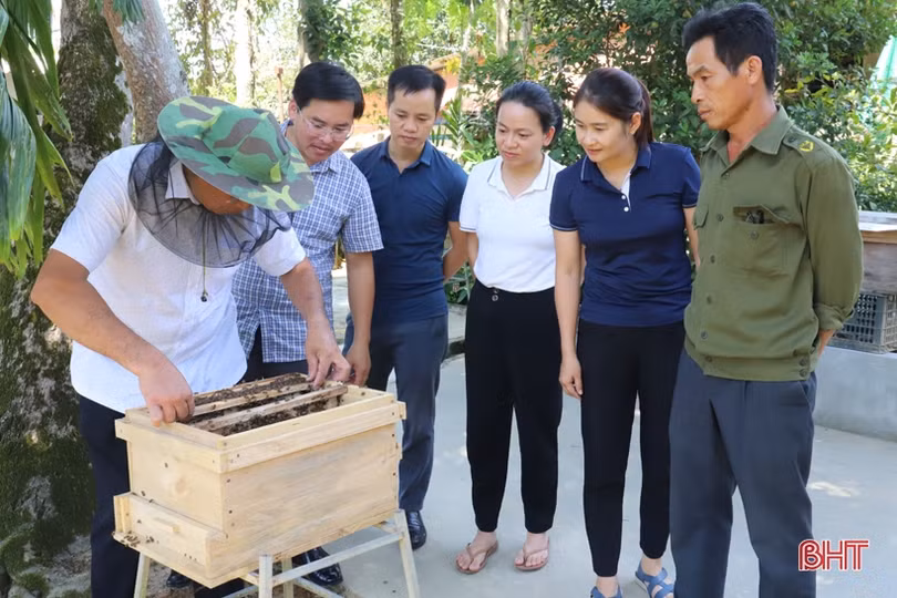 “Biến” vườn nhà thành điểm du lịch cộng đồng