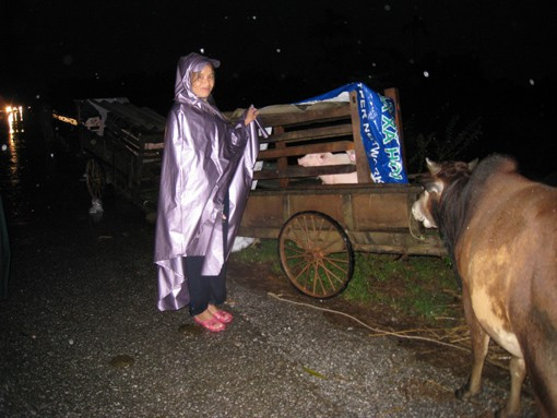 Hàng ngàn người dân và trâu bò sơ tán lên đường Hồ Chí Minh suốt 2 ngày qua