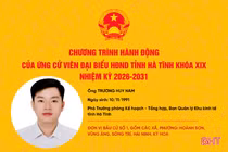 Chương trình hành động của ứng cử viên đại biểu HĐND tỉnh khoá XIX Trương Huy Nam 