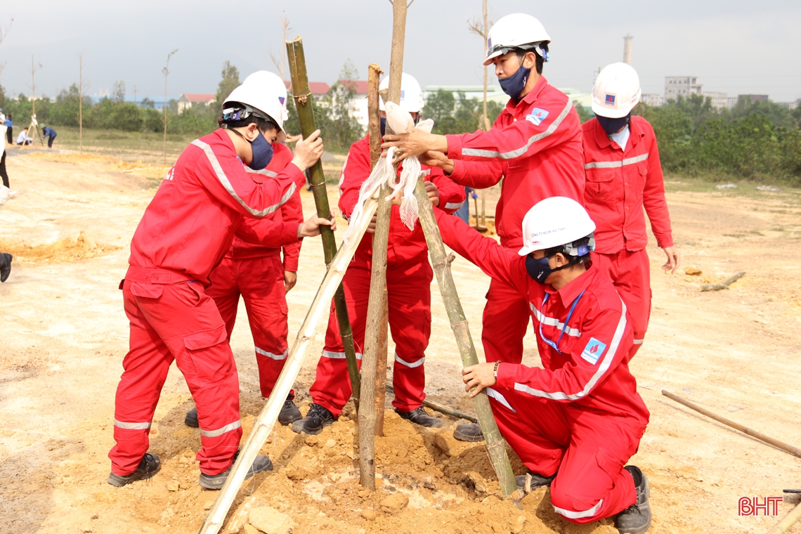 Bí thư Tỉnh ủy Hà Tĩnh tham gia trồng cây tại TX Kỳ Anh