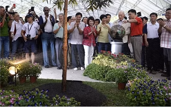 Tầm nhìn phủ xanh Singapore của ông Lý Quang Diệu ảnh 4