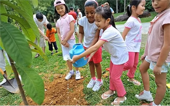 Tầm nhìn phủ xanh Singapore của ông Lý Quang Diệu ảnh 3