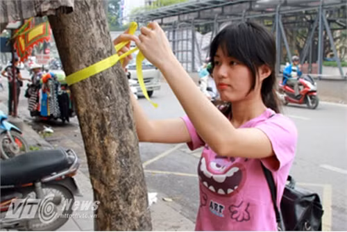 Một SV ở Hà Nội biểu thị phản ứng chặt cây bằng việc thắt nơ cho nó. Ảnh: VTC