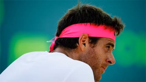 Juan Martin del Potro