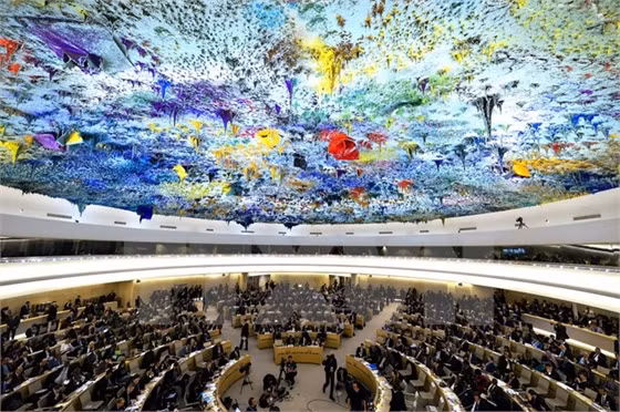 Một phiên họp toàn thể của Hội đồng Nhân quyền Liên hợp quốc. (Nguồn: AFP/TTXVN)