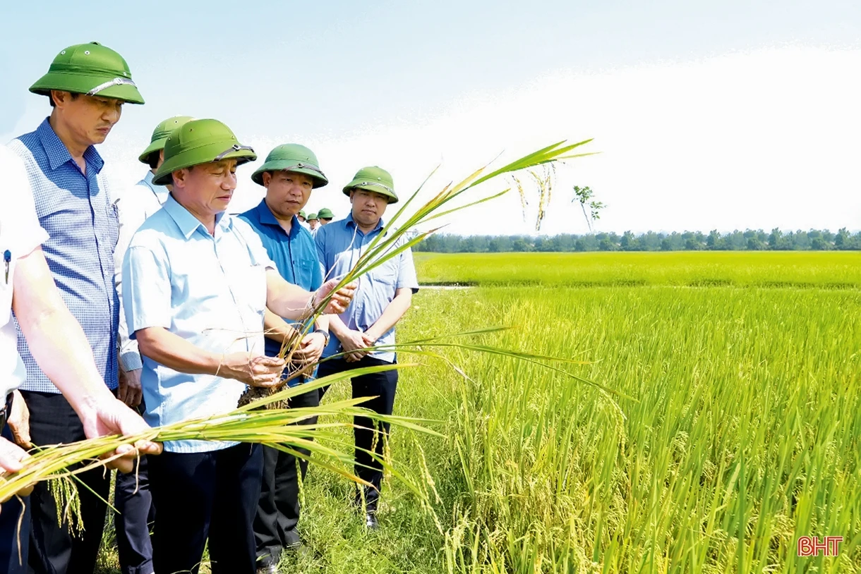 Phát huy truyền thống văn hóa quê hương, Hà Tĩnh vươn tới giàu mạnh, văn minh, vững bước trên chặng đường mới