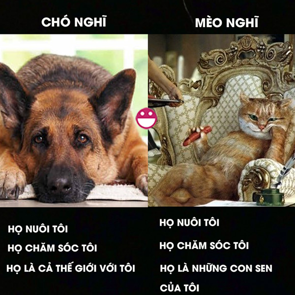 cuoi te ghe tam nang thoai mai khong so den da