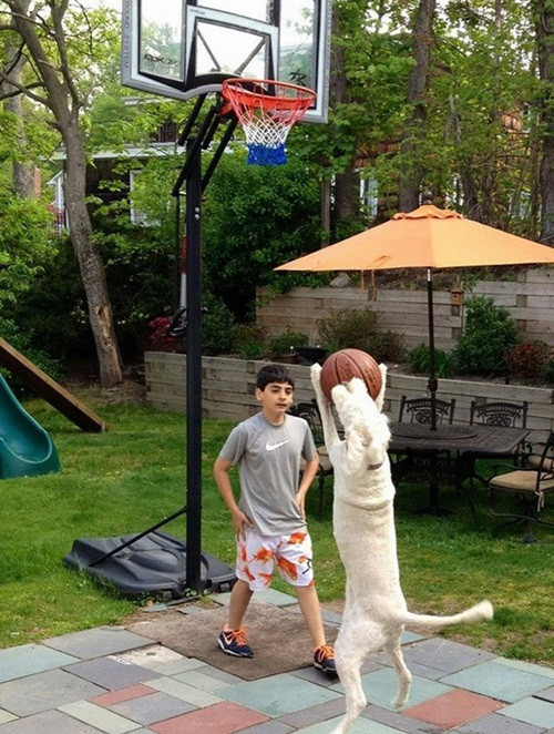 cuoi te ghe tam nang thoai mai khong so den da