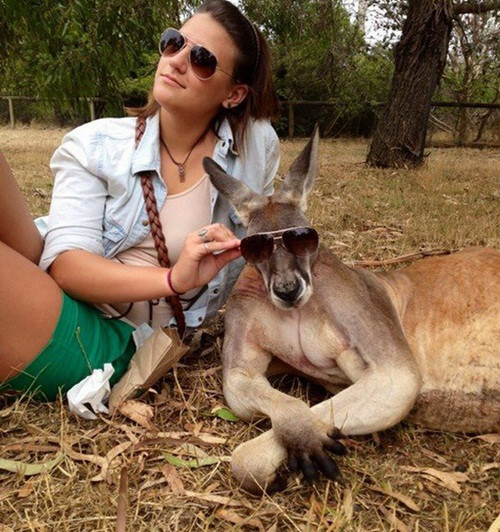 cuoi te ghe tam nang thoai mai khong so den da