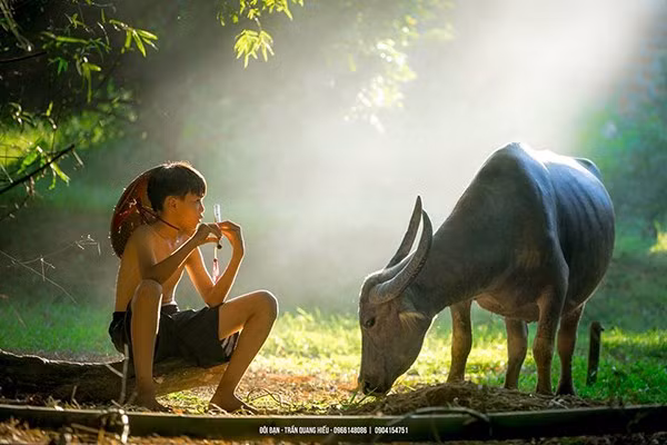 viet nam nhung khoanh khac tuyet dep va thanh binh