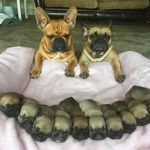 cuoi te ghe khi tat ca san sang nhung com chua bat nut