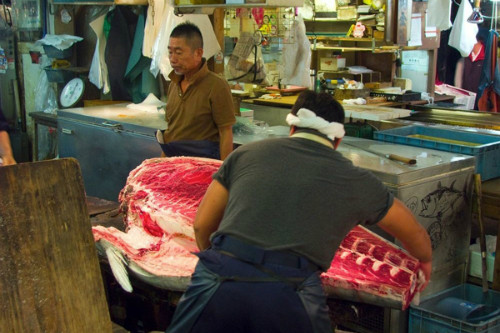 ben trong khu cho ca lon nhat the gioi o tokyo