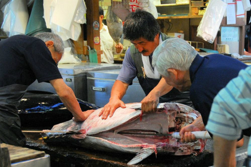 ben trong khu cho ca lon nhat the gioi o tokyo