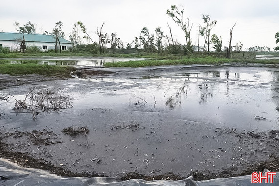 Trại lợn gây ô nhiễm kéo dài, người dân bức xúc
