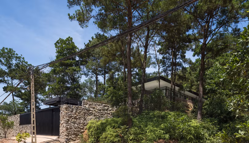 Ngôi nhà nằm trên đồi thông ở Việt Nam lên tạp chí Mỹ