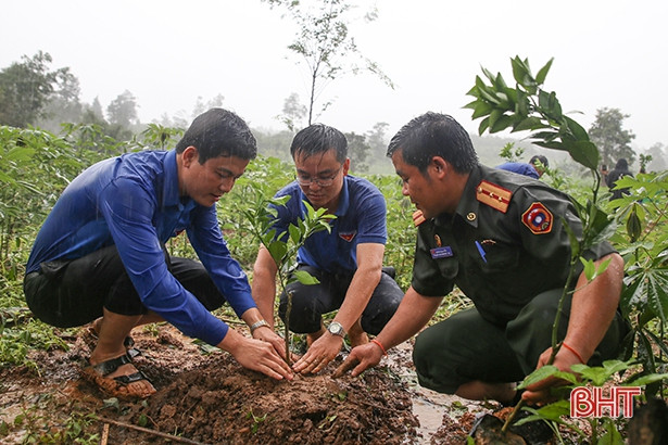 Tuổi trẻ Hà Tĩnh trao tặng 200 gốc cam, bưởi giống cho thanh niên tỉnh Bôlykhămxay