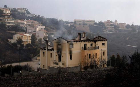 Cháy rừng bủa vây làm 50 người chết gần Thủ đô Hy Lạp, dân lao ra biển