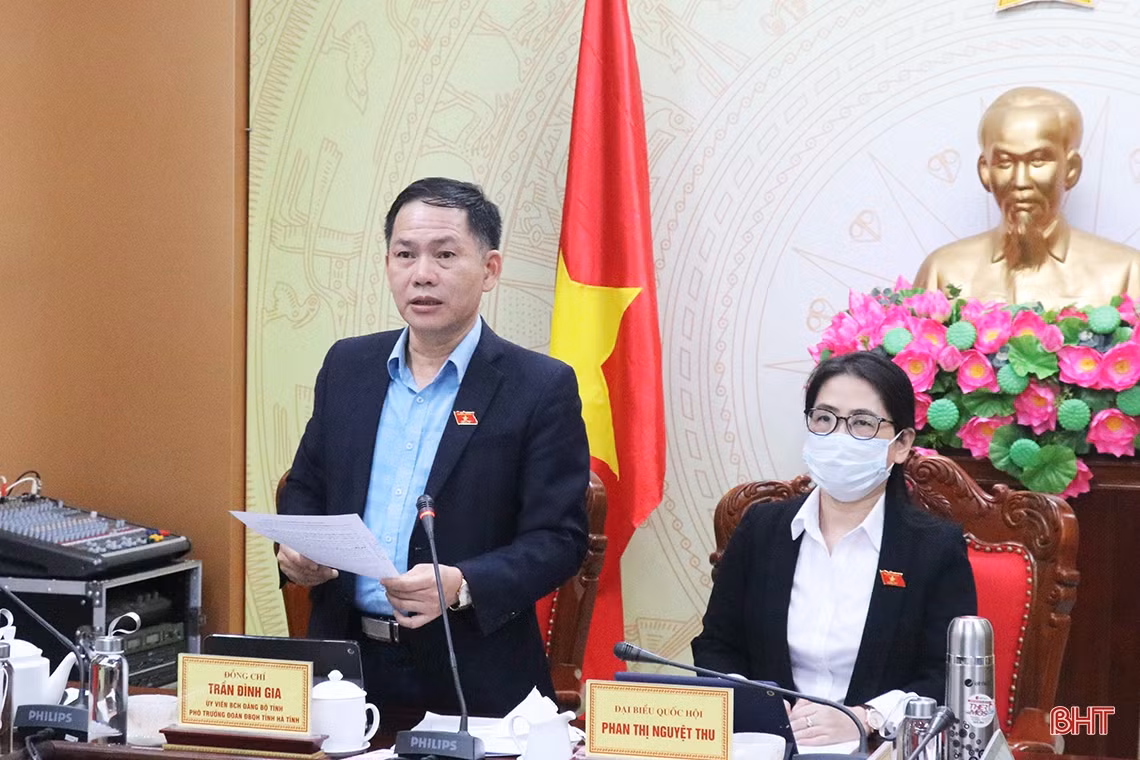 Đại biểu Quốc hội Hà Tĩnh góp ý về dự án Luật Thống kê sửa đổi, bổ sung