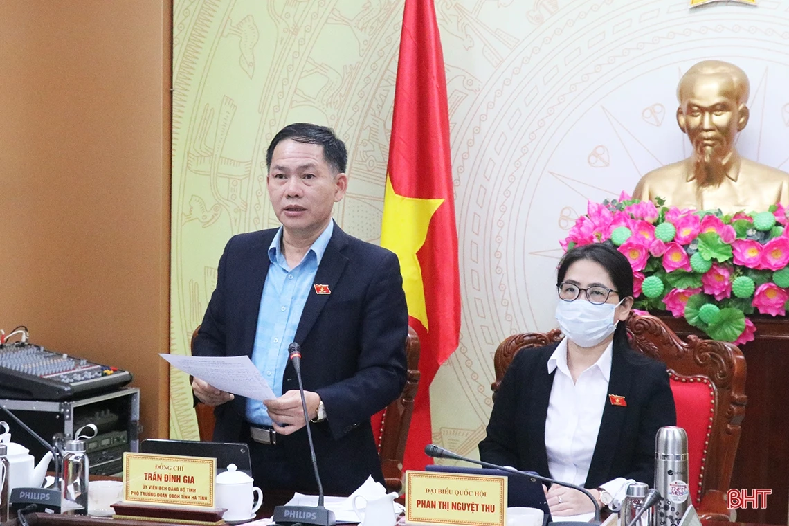 Đại biểu Quốc hội Hà Tĩnh góp ý về dự án Luật Thống kê sửa đổi, bổ sung