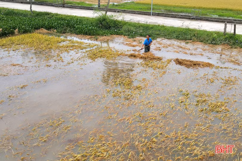 Mưa lớn đã gây thiệt hại nặng nề cho người dân Hà Tĩnh.