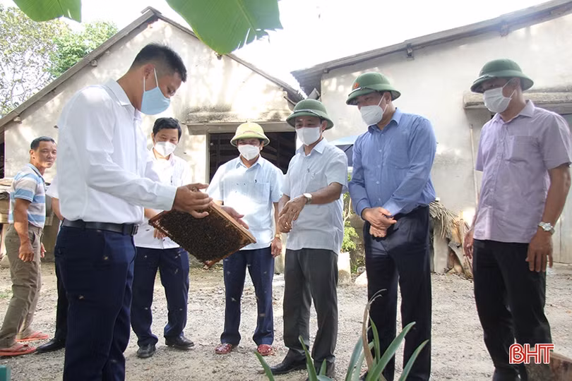 Lãnh đạo Hà Tĩnh kiểm tra, khảo sát các hợp tác xã tại Hương Sơn