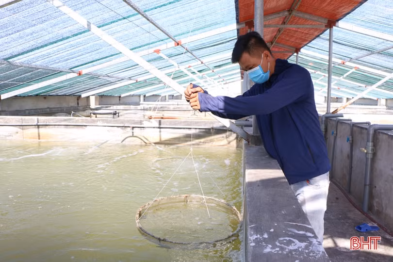 Các mô hình nông nghiệp ở Hà Tĩnh nỗ lực chuyển đổi số trong sản xuất