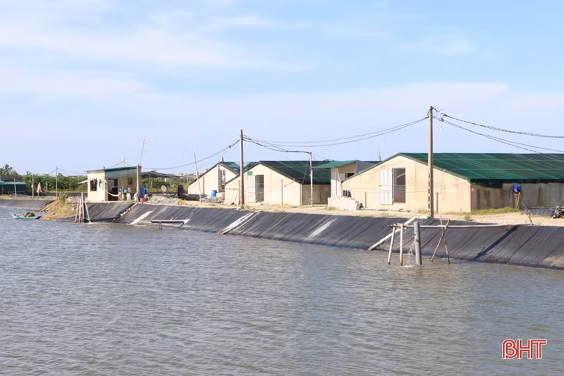 Các mô hình nông nghiệp ở Hà Tĩnh nỗ lực chuyển đổi số trong sản xuất