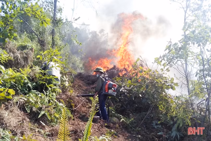 Đốt than gây cháy rừng ở Hà Tĩnh