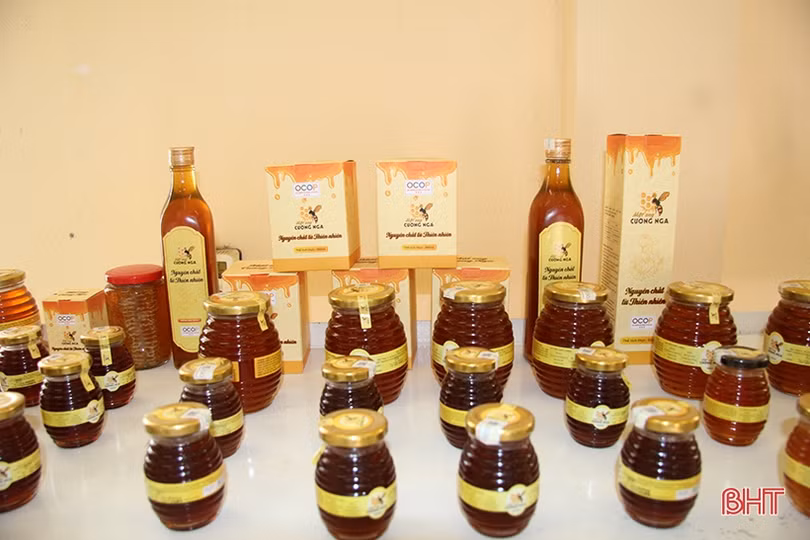 Lãnh đạo Hà Tĩnh kiểm tra, khảo sát các hợp tác xã tại Hương Sơn