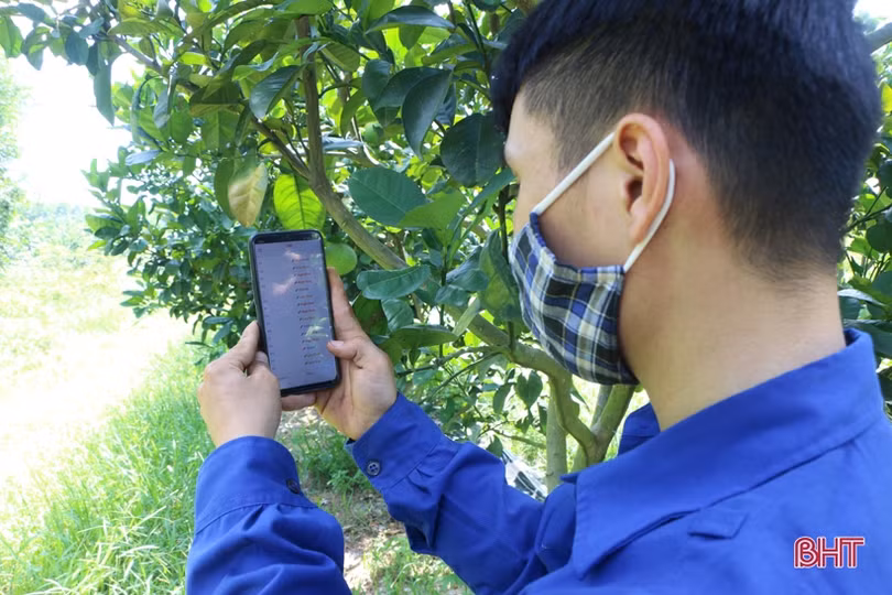 Các mô hình nông nghiệp ở Hà Tĩnh nỗ lực chuyển đổi số trong sản xuất