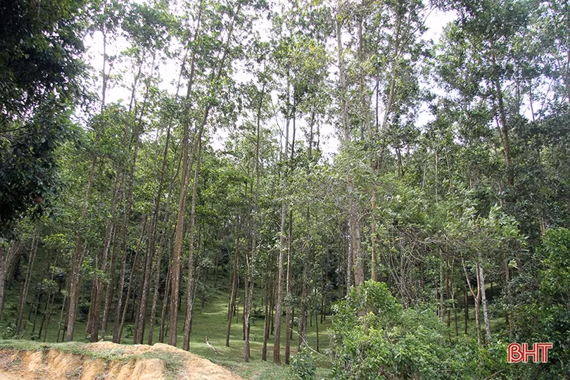 Lãnh đạo Hà Tĩnh kiểm tra, khảo sát các hợp tác xã tại Hương Sơn