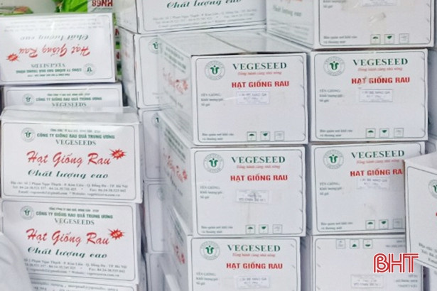Cẩm Xuyên cấp 3,7 tấn hạt giống khôi phục sản xuất vụ đông