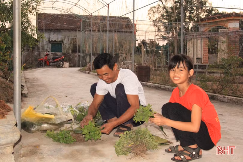 Anh nông dân Hà Tĩnh “cưỡi xế hộp” đi bán rau giống vụ đông