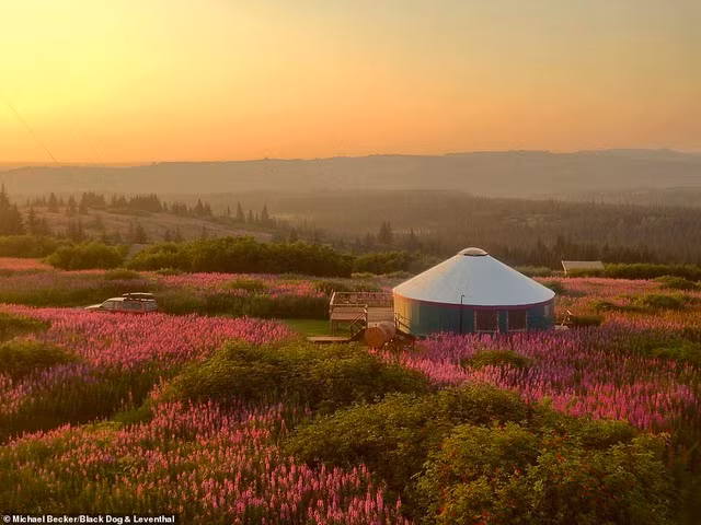Bộ ảnh kể về phong cách sống “bỏ phố, về rừng”