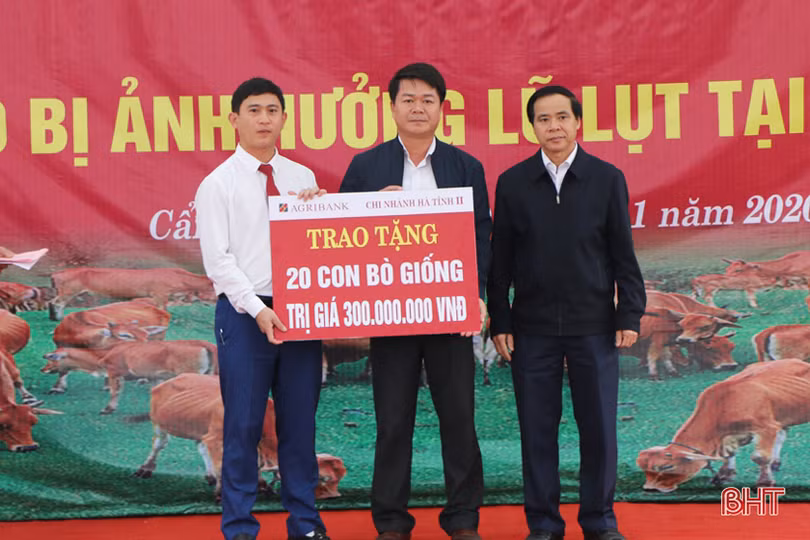 Bí thư Tỉnh ủy dự lễ trao sinh kế giúp hộ nghèo “tâm lũ” Hà Tĩnh khôi phục sản xuất bền vững