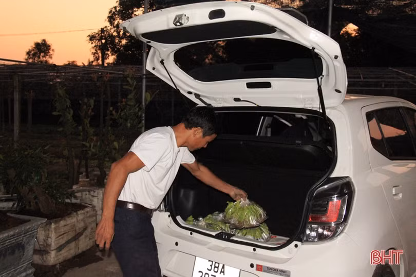 Anh nông dân Hà Tĩnh “cưỡi xế hộp” đi bán rau giống vụ đông