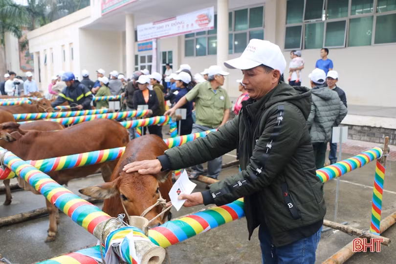 Bí thư Tỉnh ủy dự lễ trao sinh kế giúp hộ nghèo “tâm lũ” Hà Tĩnh khôi phục sản xuất bền vững