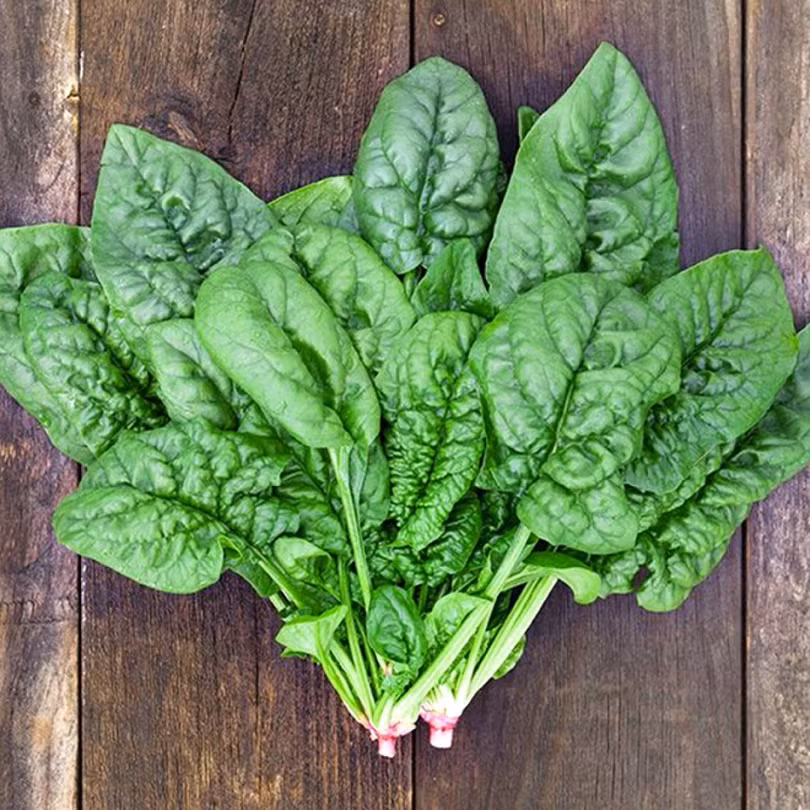 Lưu ý một số thực phẩm cần phải được nấu chín để đảm bảo sức khỏe