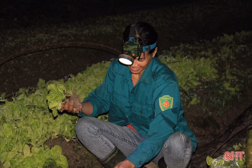 Anh nông dân Hà Tĩnh “cưỡi xế hộp” đi bán rau giống vụ đông